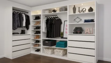 organizar o guarda roupa em 1 hora