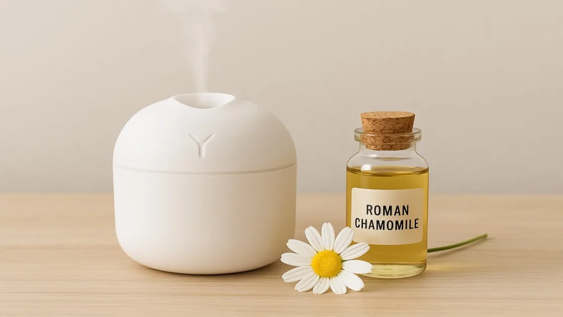 oleo Camomila-romana