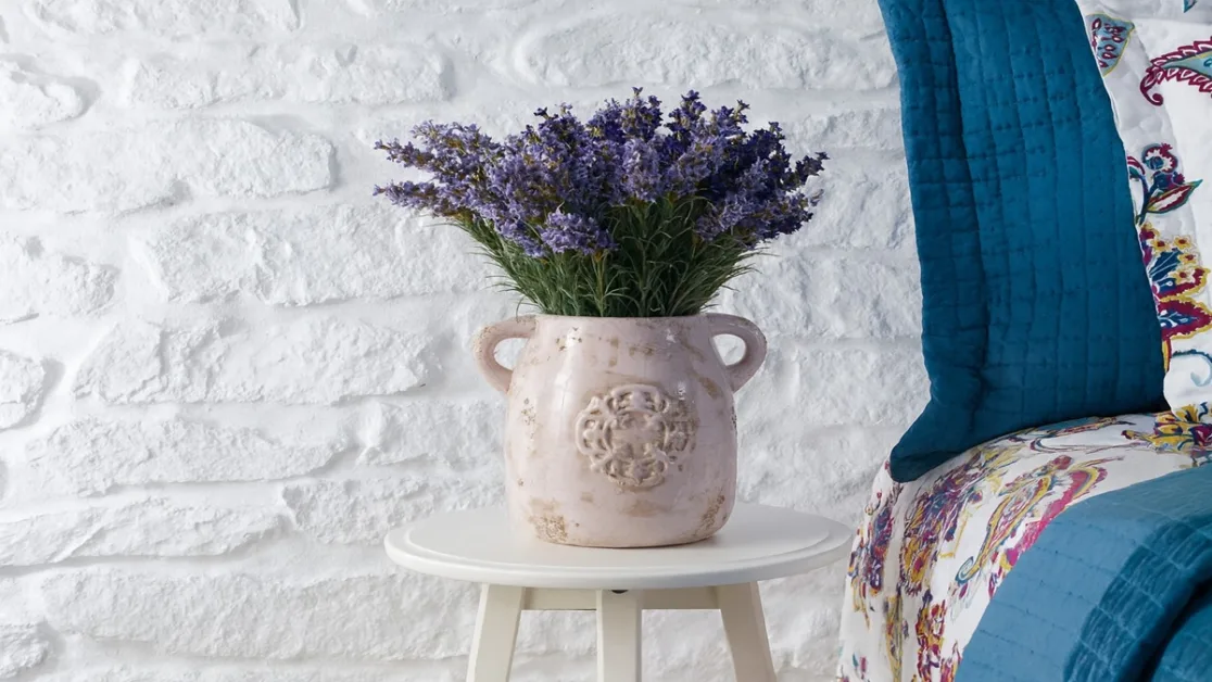 planta lavanda