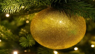 enfeites para arvore de natal