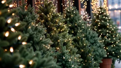 O que é significado Natal