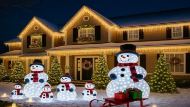 O que posso colocar no meu jardim para decorar no Natal